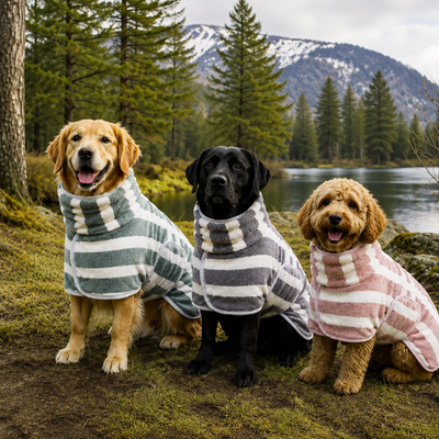Doggy Robe